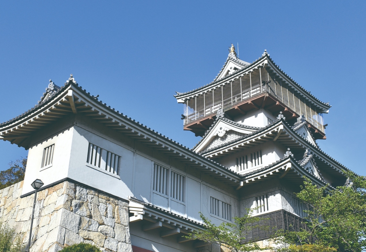 写真: 岩崎城跡