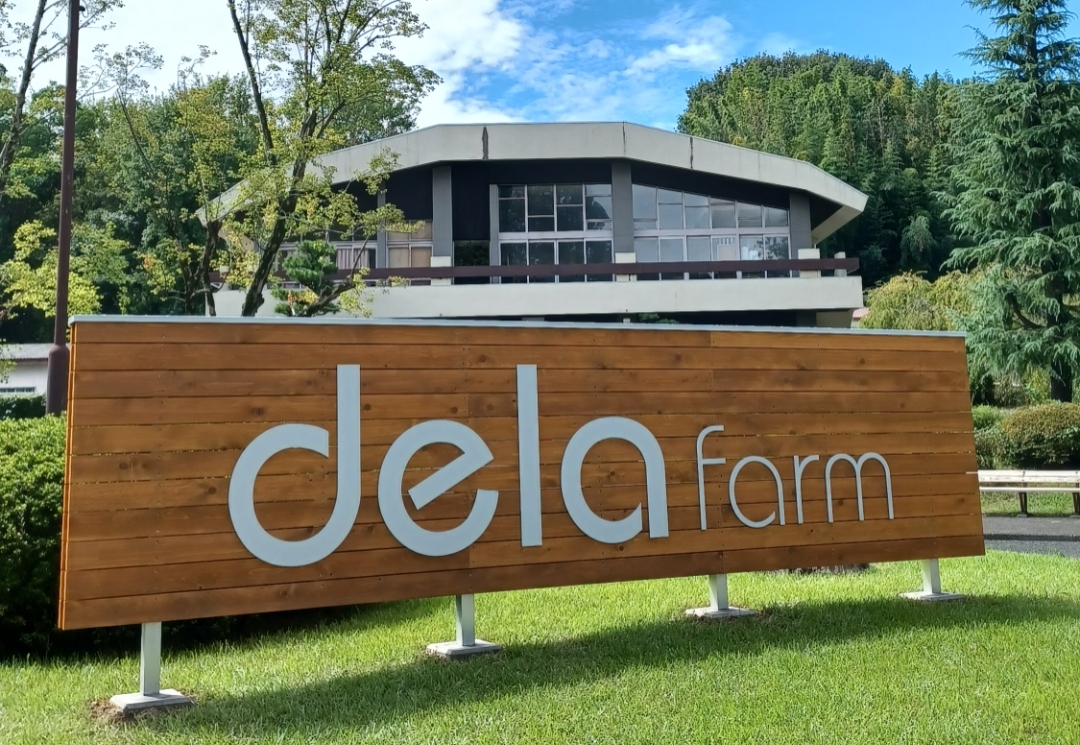 写真: 岩崎城跡