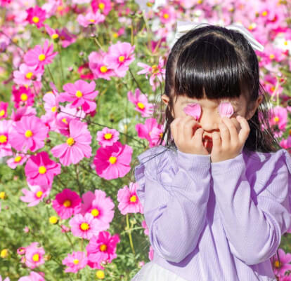 写真：愛知牧場のコスモス畑で写真を撮る女の子